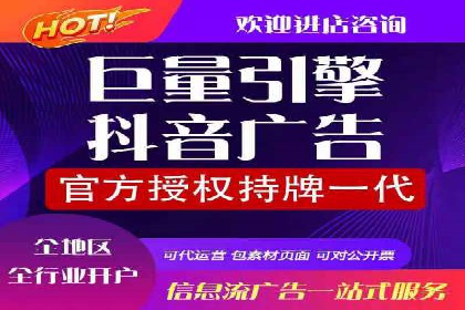 某电商平台信息流广告的精准推广策略